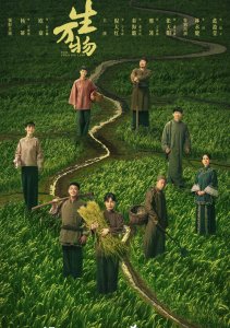 Процветающая земля